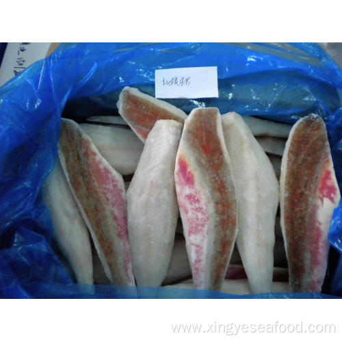 High Quality Frozen Red Gurnard Fillet